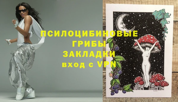 гидра Абинск